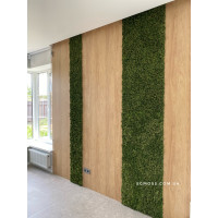 Панель из стабилизированного мха ягеля темно зеленая 1м2 So Green 00058