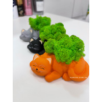 Гипсовое кашпо котик со стабилизированным мхом SO Green 10см 00128