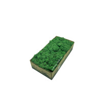 Стабилизированный норвежский мох высшего качества на солевой основе SO Green темно зеленый 0,5 кг 0078